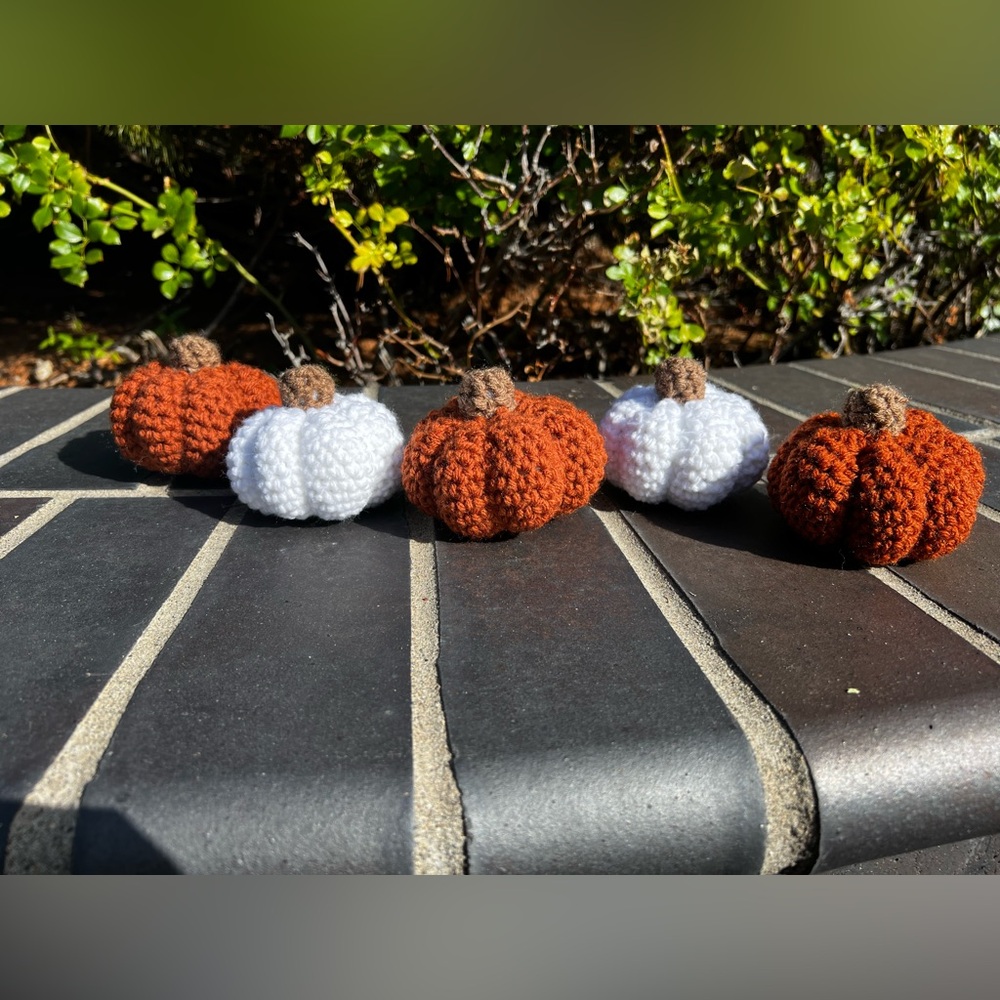 Hand Crocheted Set of 5 Rustic White & Orange Pumpkins Fall Halloween Decor! - Picture 4 of 12